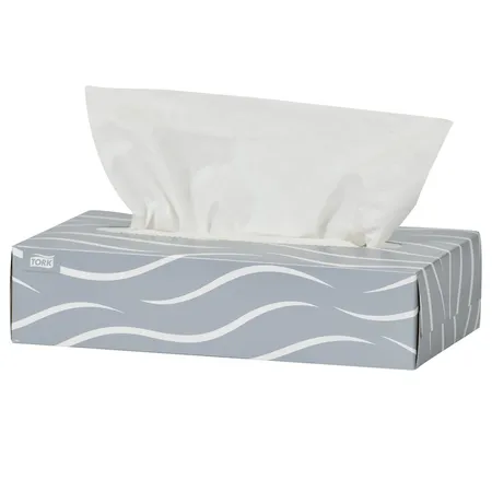 Facial Tissue, Premium, 2 Ply, White, 100/Bx